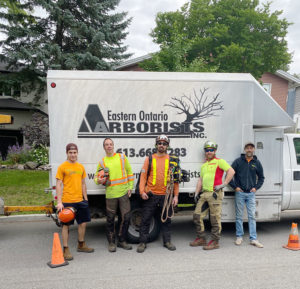 Eastern Ontario Arborists Inc photo 3