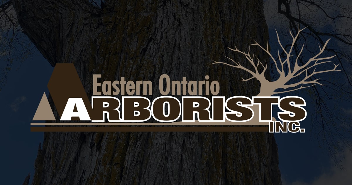 Eastern Ontario Arborists Ottawa Tree Care Services