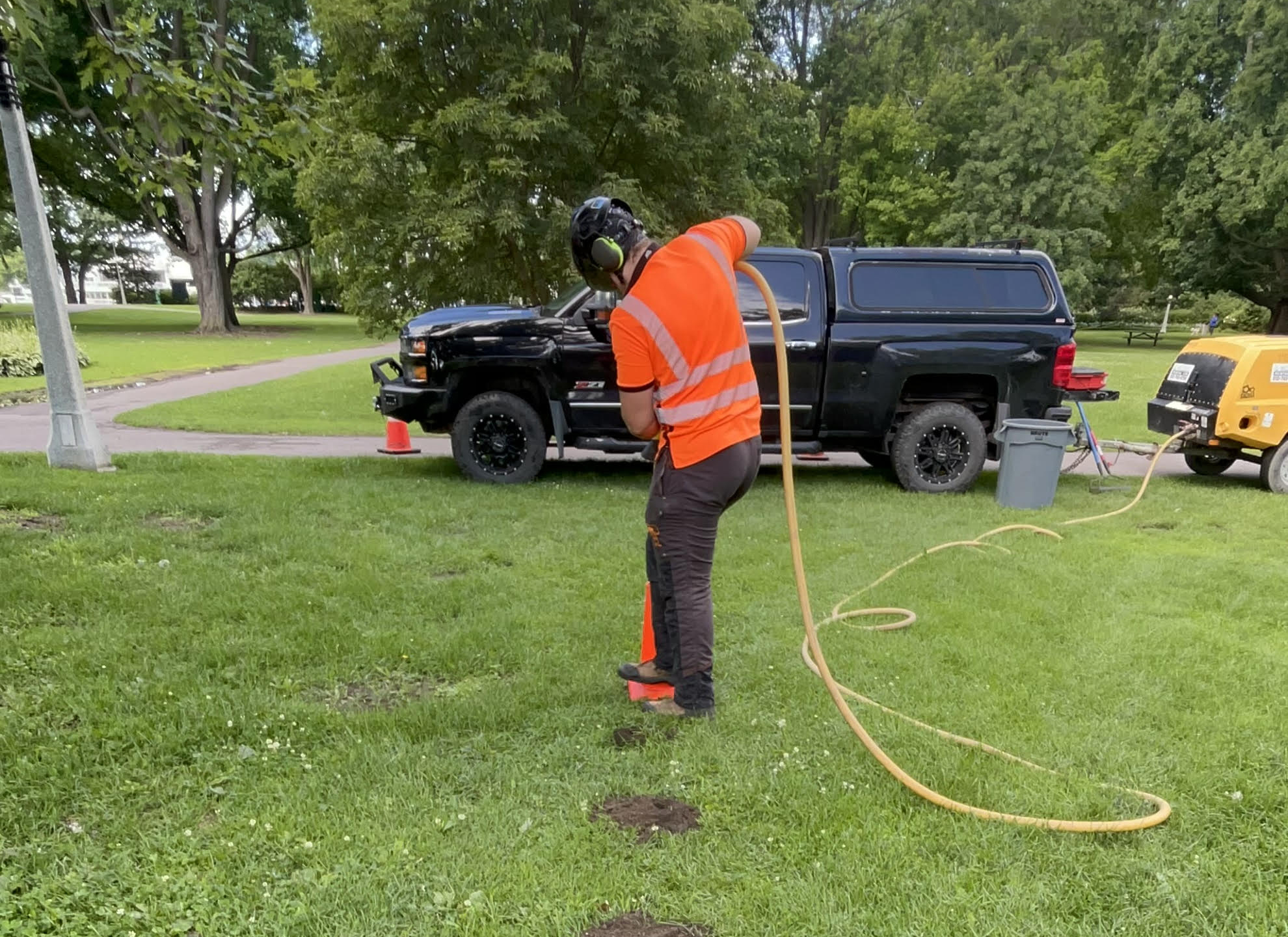 Why Fall Is The Best Time For Root Collar Excavation In Ottawa